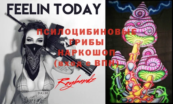 МДПВ Волоколамск