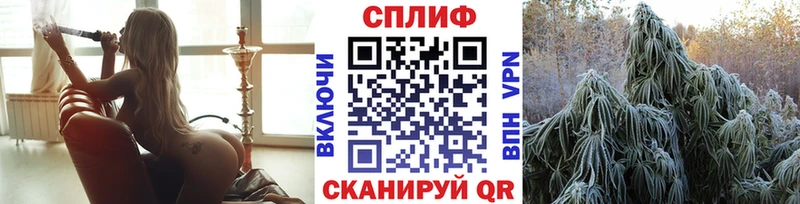Купить  Сусуман  Бошки марихуана Amnesia 